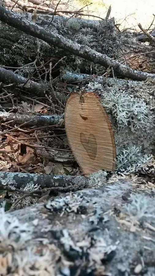 Appartamento Castello Di Cammoro Sellano Eksteriør billede